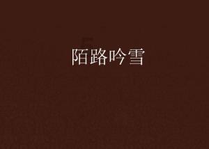 夏季时尚编发