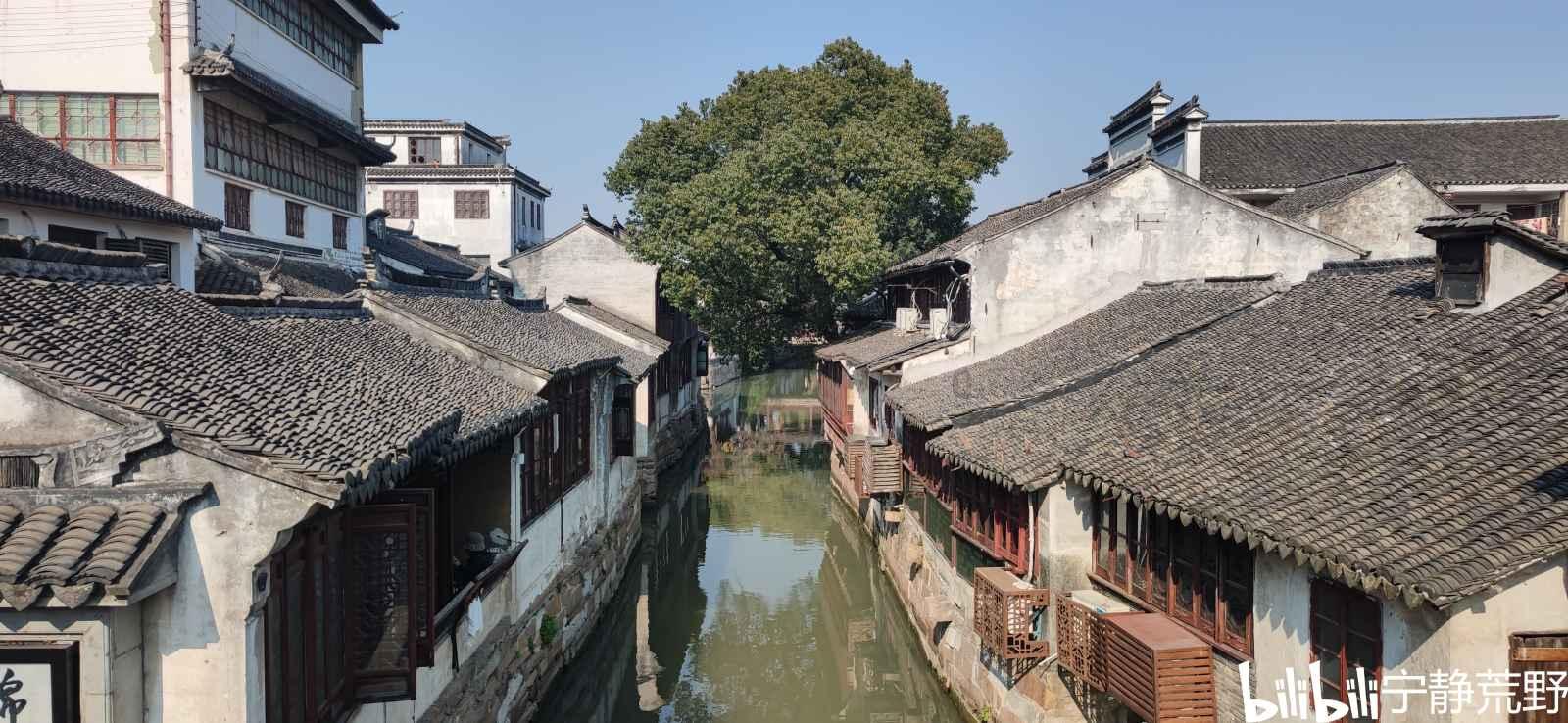 动物帮帮忙保卫家园